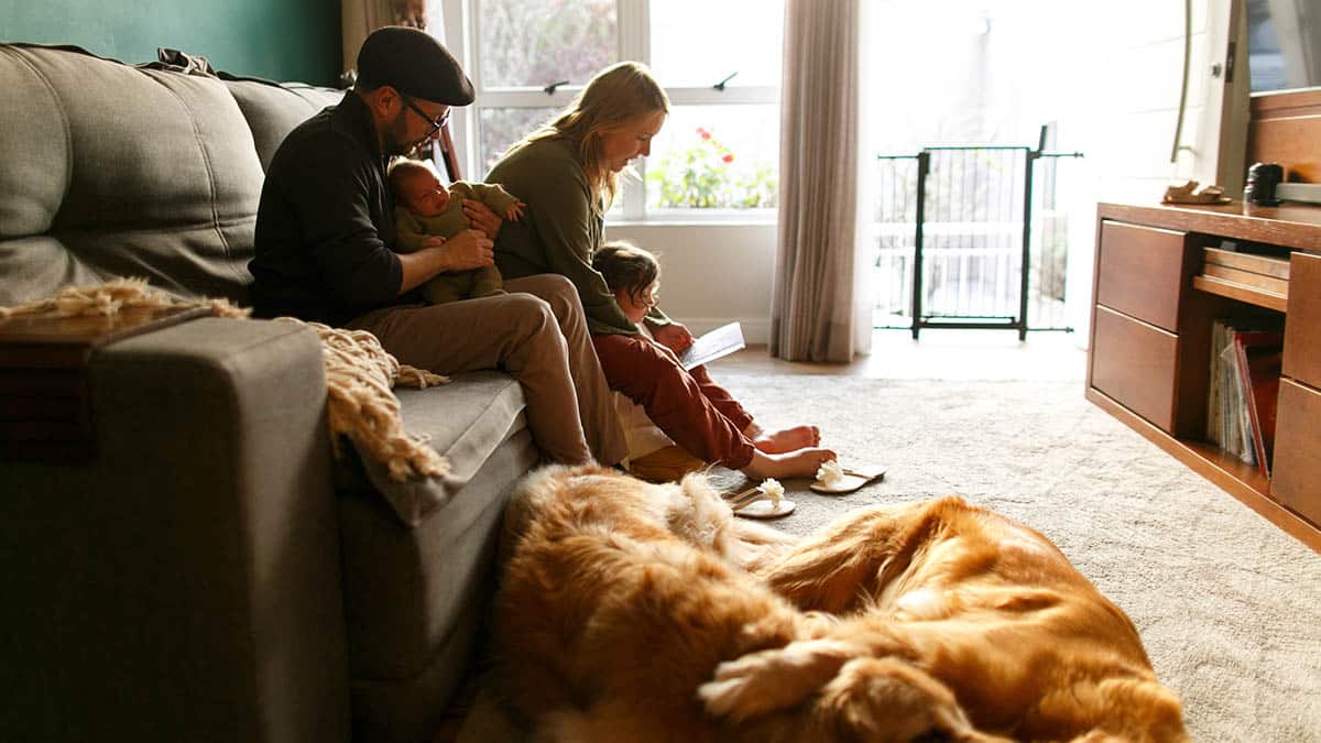 Keep Your Indoor Air Quality Healthy 12 blog AirPurificationSystems 1200x675 1
